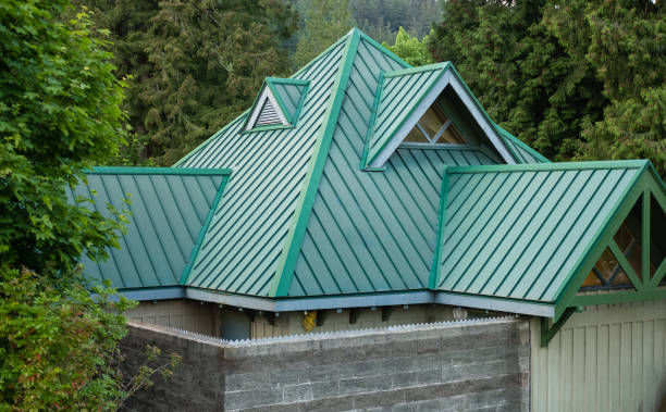Best Roof Moss and Algae Removal  in Washington Heights, NY